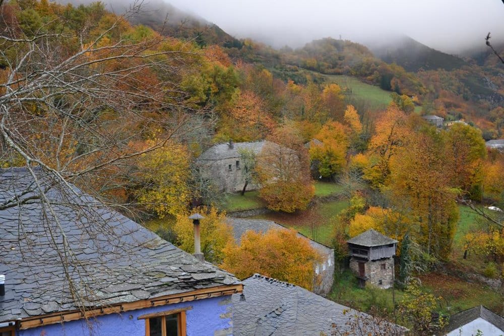 horreo 7